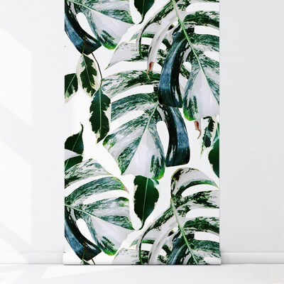 Fotobehang De magie van exotische bladeren