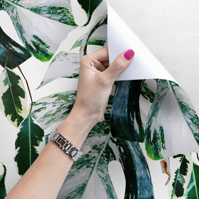 Fotobehang De magie van exotische bladeren