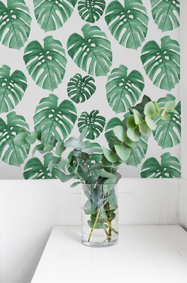 Fotobehang Groene Monstera