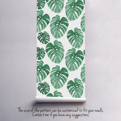 Fotobehang Groene Monstera