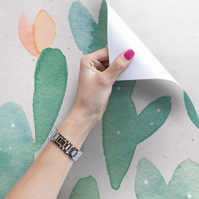 Fotobehang Groeit er een cactus op de muur?