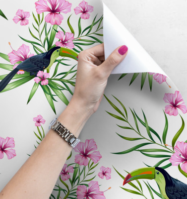 Fotobehang Toekan rustend