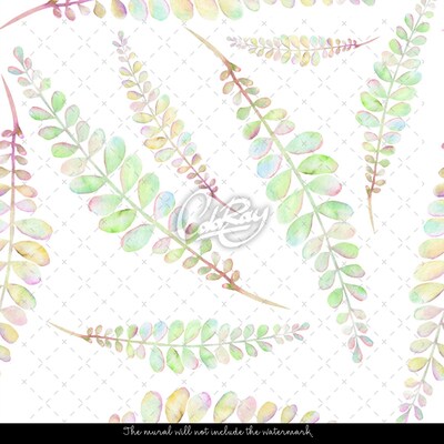 Fotobehang Pastelkleurige acacia's