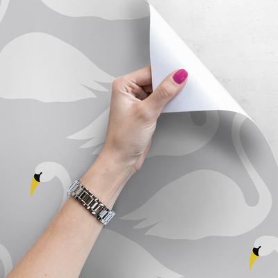 Fotobehang De schoonheid van zwanen