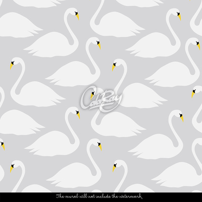 Fotobehang De schoonheid van zwanen