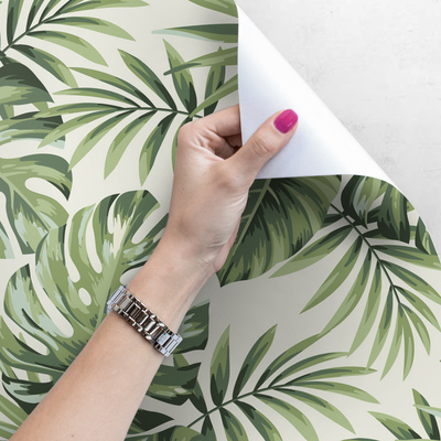 Fotobehang Dikke Monstera-struik