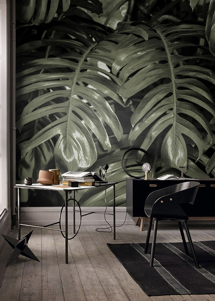 Fotobehang Monstera bladeren