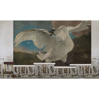 Fotobehang De majestueuze zwaan