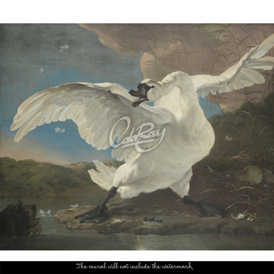 Fotobehang De majestueuze zwaan