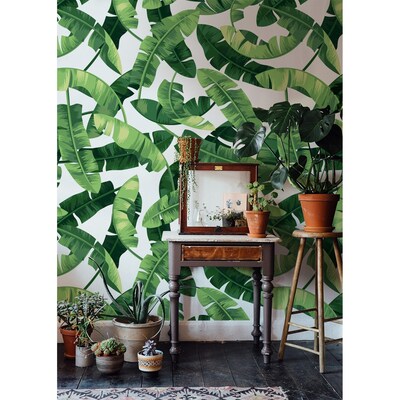 Fotobehang Realistische bananenbladeren