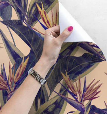 Fotobehang Paradijs Strelitzia