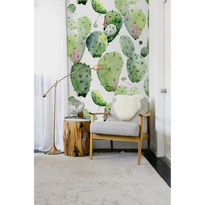 Fotobehang De revitaliserende kracht van cactussen