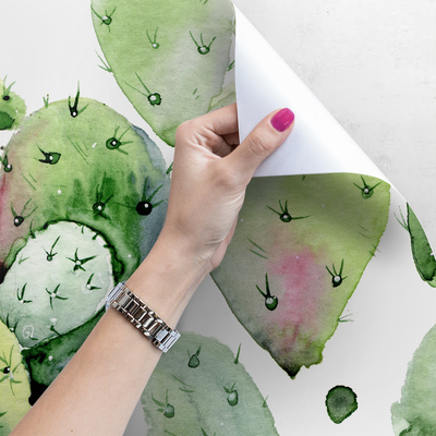 Fotobehang De revitaliserende kracht van cactussen