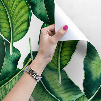 Fotobehang Sappige groene bananenbladeren