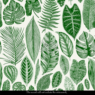 Fotobehang Mijn privé-herbarium