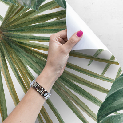 Fotobehang Exotische grote bladeren