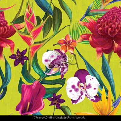 Fotobehang Exotisme Festival