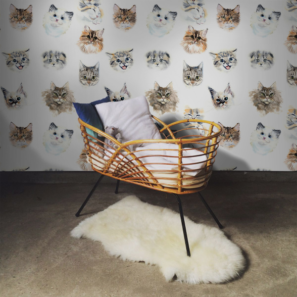 Fotobehang Vriendelijke katten