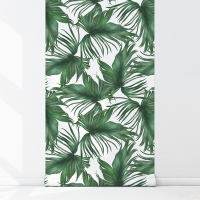 Fotobehang Luchtige palmbladeren