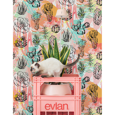 Fotobehang De kleurrijke wereld van cactussen