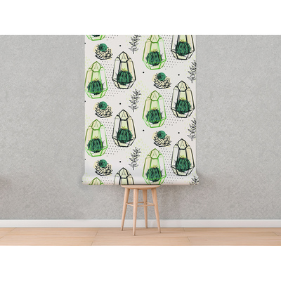 Fotobehang Cactuslantaarns