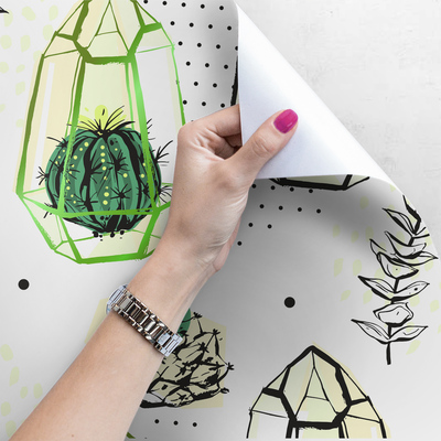 Fotobehang Cactuslantaarns