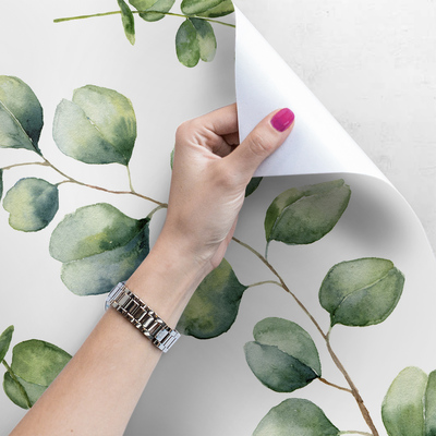 Fotobehang Eucalyptus takken