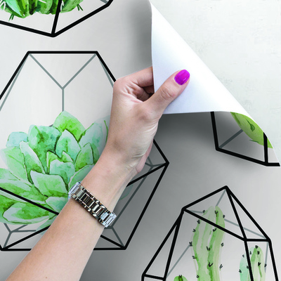 Fotobehang Multidimensionale Cactus