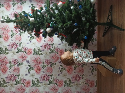 Fotobehang Er was eens een sprookjestuin