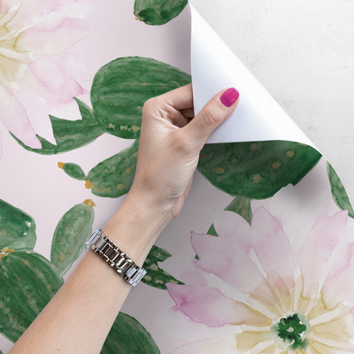 Fotobehang In het land van groene cactussen