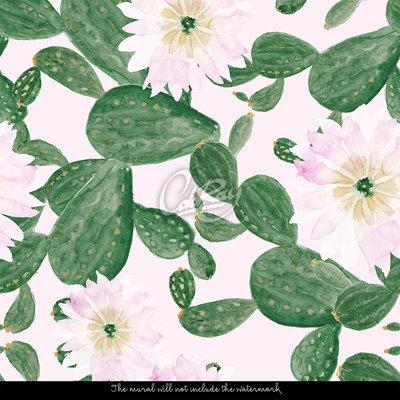 Fotobehang In het land van groene cactussen