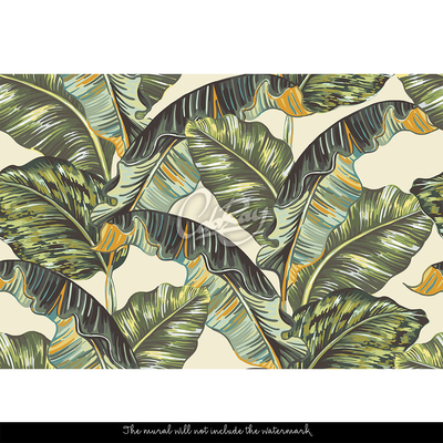 Fotobehang Grote bananenbladeren