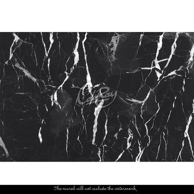 Fotobehang De elegantie van zwart marmer