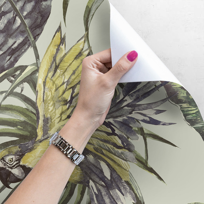 Fotobehang Lovebirds zijn niet altijd onafscheidelijk