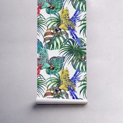 Fotobehang In de wereld van fantastische papegaaien