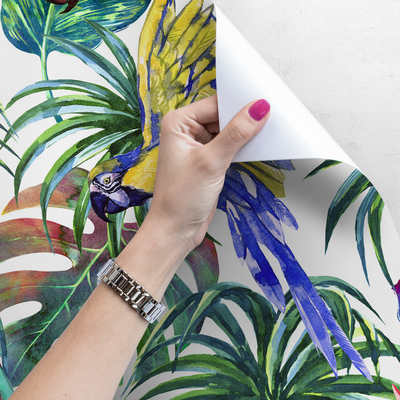 Fotobehang In de wereld van fantastische papegaaien