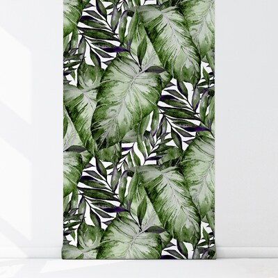 Fotobehang Tropische Monstera