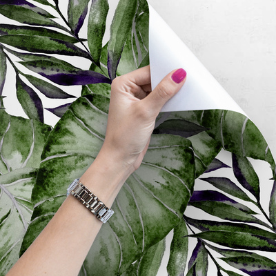 Fotobehang Tropische Monstera