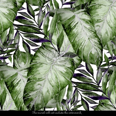 Fotobehang Tropische Monstera