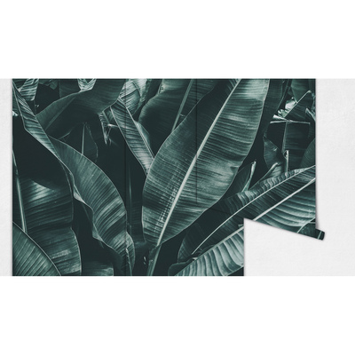 Fotobehang Zalig slapen in de schaduw van een boom