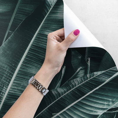 Fotobehang Zalig slapen in de schaduw van een boom