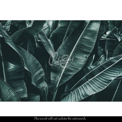 Fotobehang Zalig slapen in de schaduw van een boom