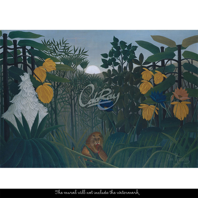 Fotobehang Zonsondergang in de jungle