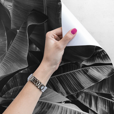 Fotobehang Rusten in de schaduw van gigantische bladeren