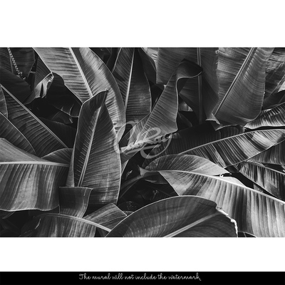 Fotobehang Rusten in de schaduw van gigantische bladeren