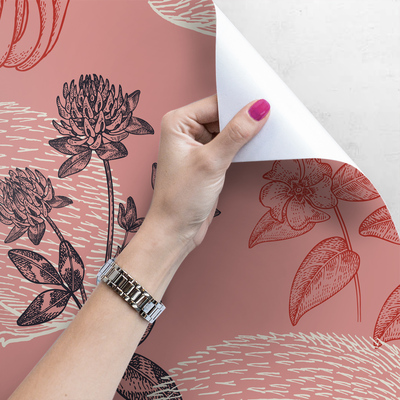 Fotobehang Waar gaat een egel 's nachts heen?