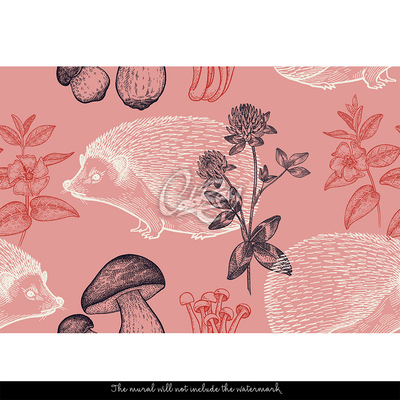 Fotobehang Waar gaat een egel 's nachts heen?