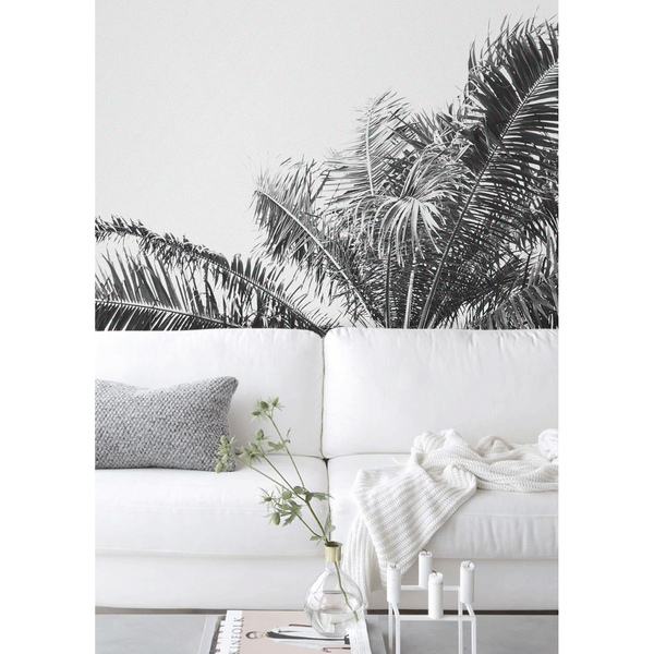 Fotobehang Groeit hier een palmboom?