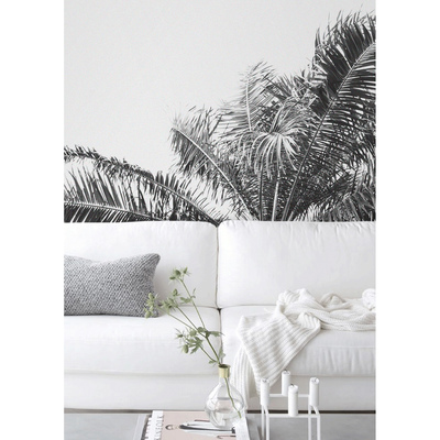 Fotobehang Groeit hier een palmboom?