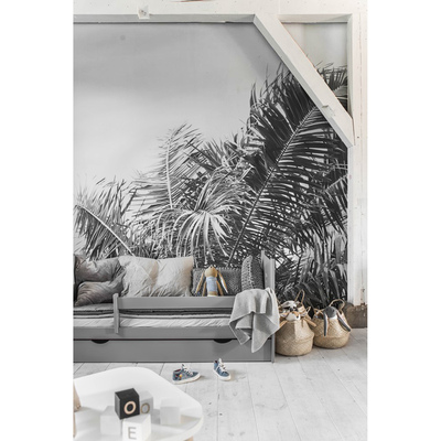 Fotobehang Groeit hier een palmboom?